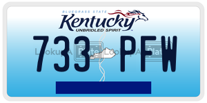 733PFW  license plate in KY