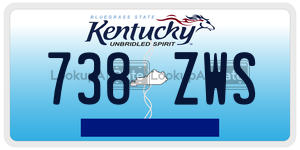 738ZWS  license plate in KY