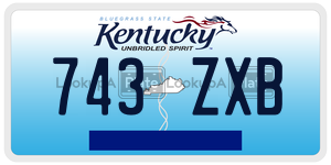 743ZXB  license plate in KY