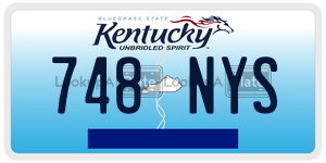748NYS  license plate in KY