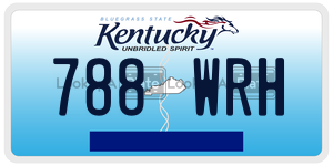 788WRH  license plate in KY