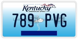 789PVG  license plate in KY
