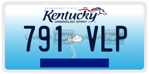 791VLP  license plate in KY