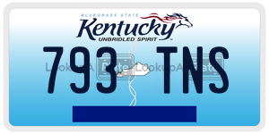 793TNS  license plate in KY