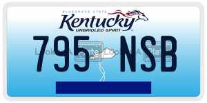795NSB license plate in Kentucky