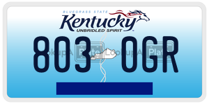 8030GR  license plate in KY
