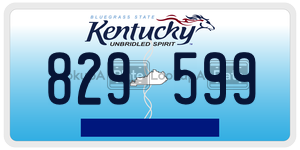 829599  license plate in KY