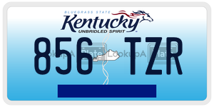 856TZR  license plate in KY