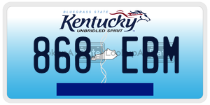 868EBM  license plate in KY