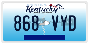 868VYD license plate in Kentucky