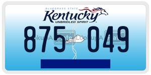 875049  license plate in KY