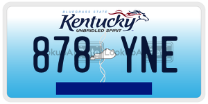 878YNE  license plate in KY