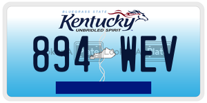 894WEV  license plate in KY