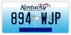894WJP  license plate in KY