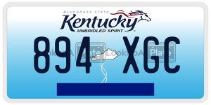 894XGC  license plate in KY