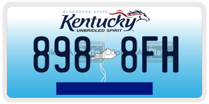 8988FH  license plate in KY
