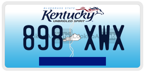 898XWX license plate in Kentucky