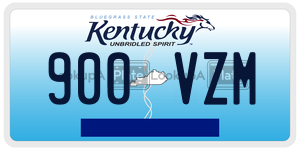 900VZM  license plate in KY