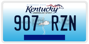907RZN  license plate in KY
