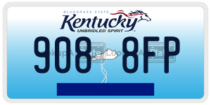9088FP  license plate in KY