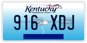 916XDJ  license plate in KY