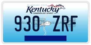 930ZRF  license plate in KY