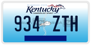 934ZTH  license plate in KY
