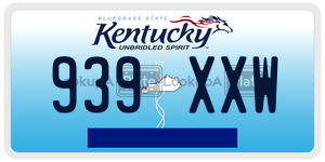 939XXW  license plate in KY