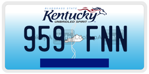959FNN  license plate in KY