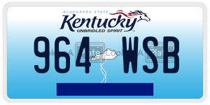 964WSB  license plate in KY