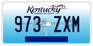973ZXM  license plate in KY
