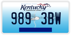 9893BW  license plate in KY