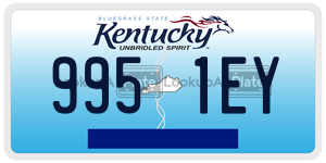 9951EY  license plate in KY
