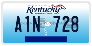 A1N728  license plate in KY