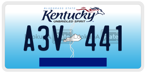 A3V441  license plate in KY