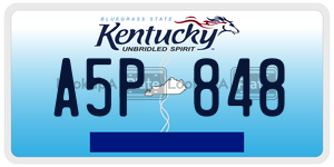 A5P848  license plate in KY