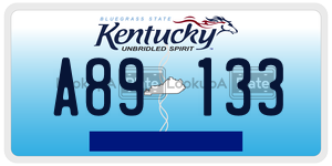 A89133 license plate in Kentucky