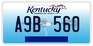 A9B560  license plate in KY