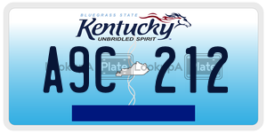 A9C212  license plate in KY