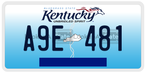 A9E481  license plate in KY