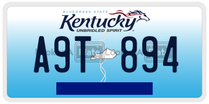 A9T894 license plate in Kentucky