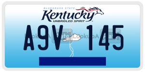 A9V145  license plate in KY