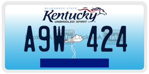A9W424  license plate in KY