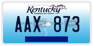 AAX873  license plate in KY