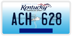 ACH628  license plate in KY