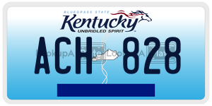 ACH828  license plate in KY