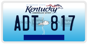 ADT817  license plate in KY