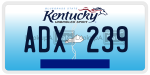 ADX239 license plate in Kentucky