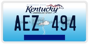 AEZ494  license plate in KY