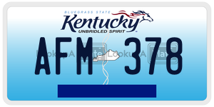 AFM378  license plate in KY